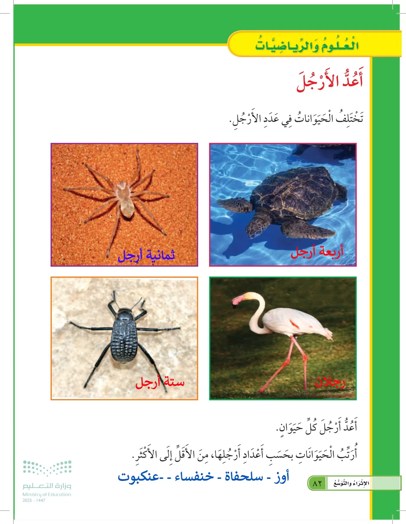 العلوم page-81