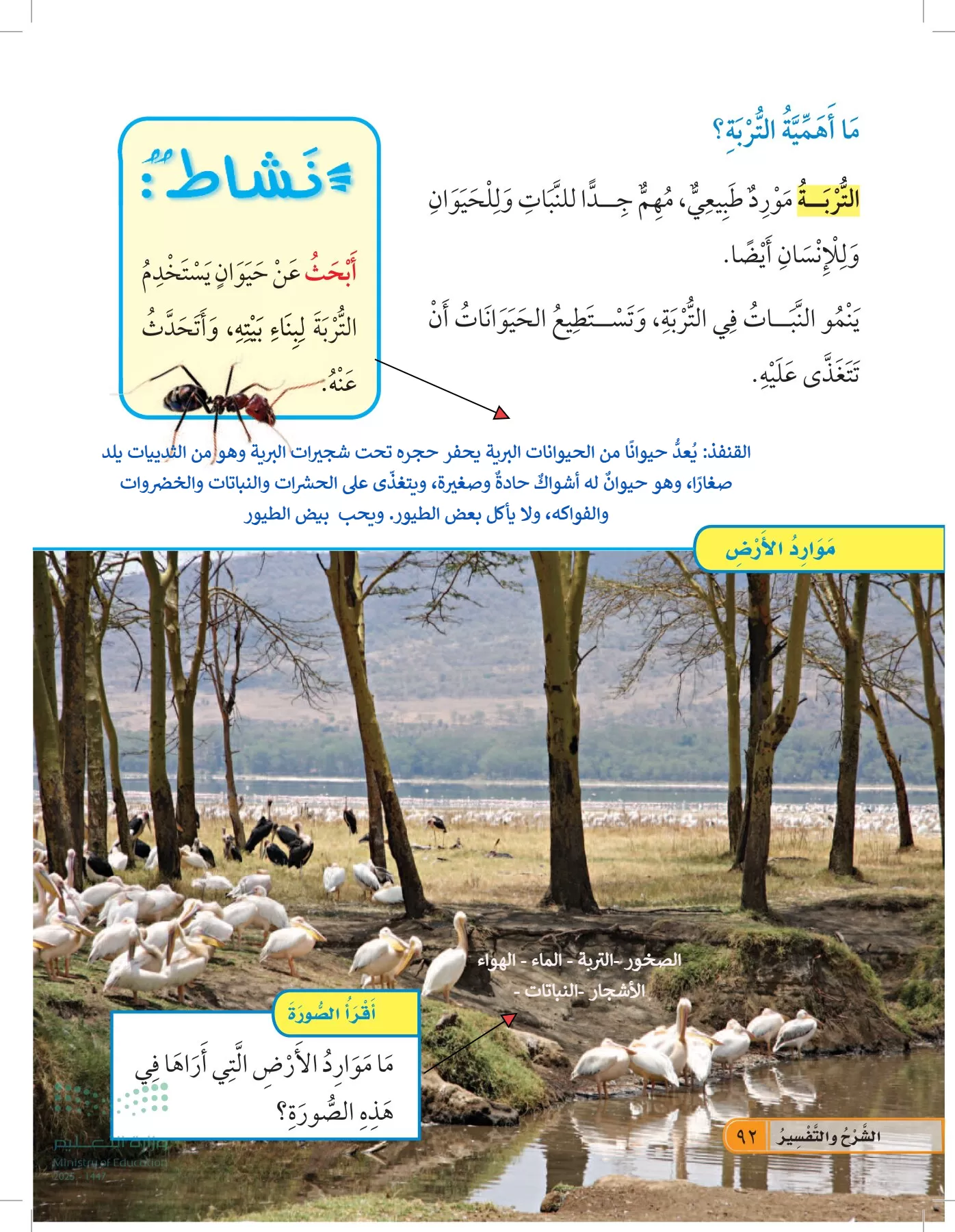 العلوم page-91
