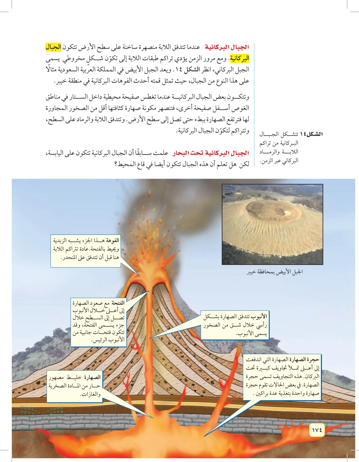 العلوم page-173