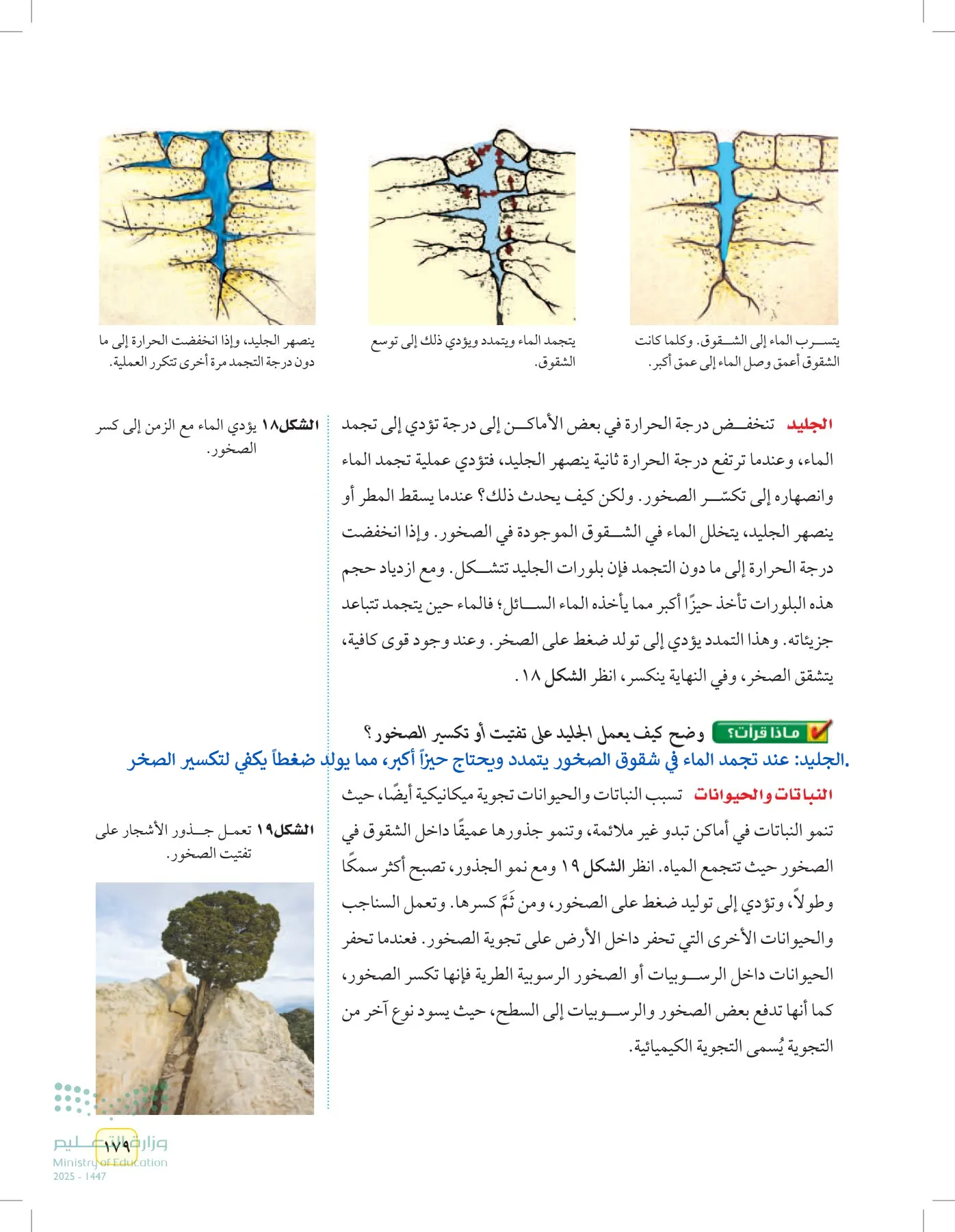 العلوم page-178