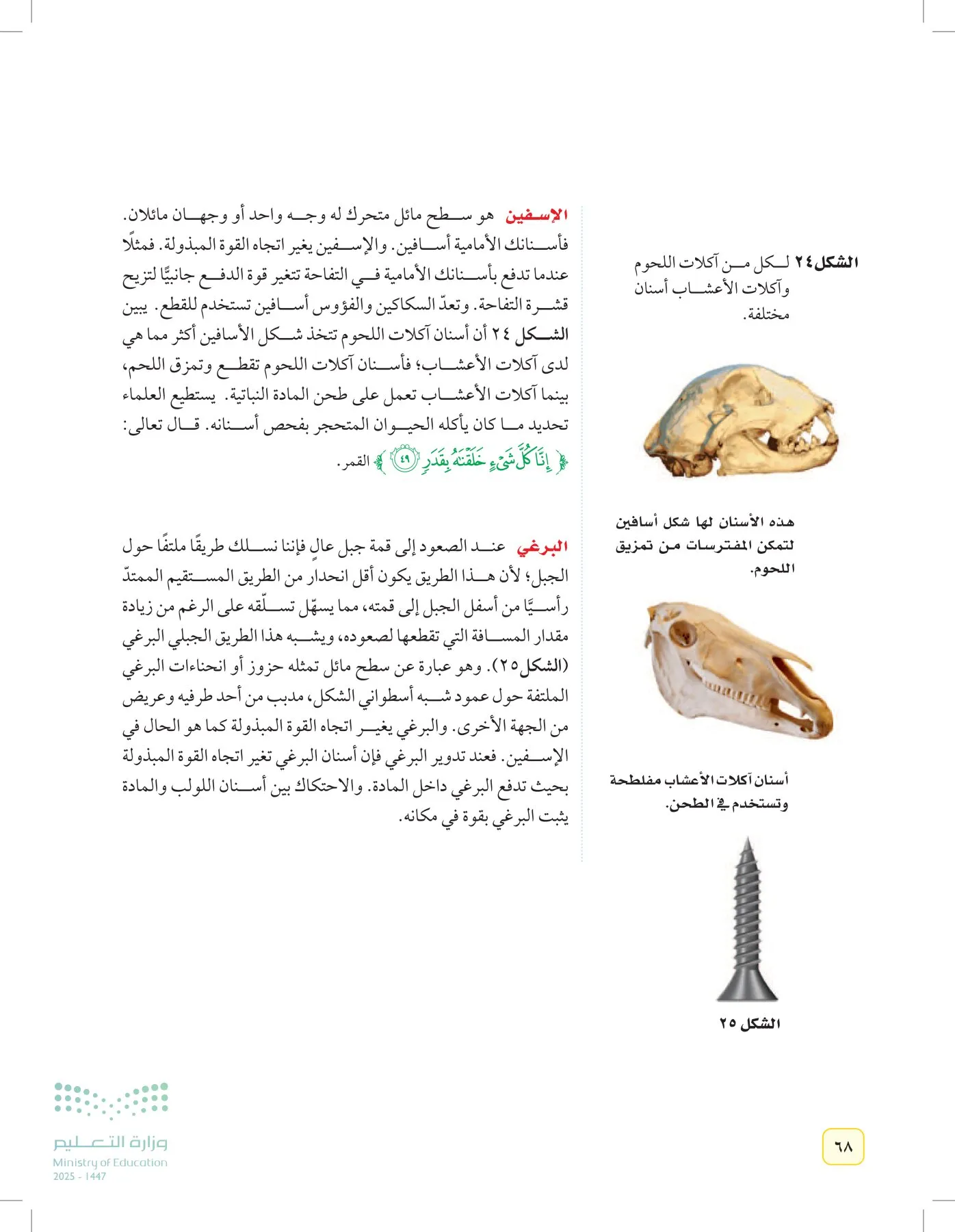 العلوم page-67